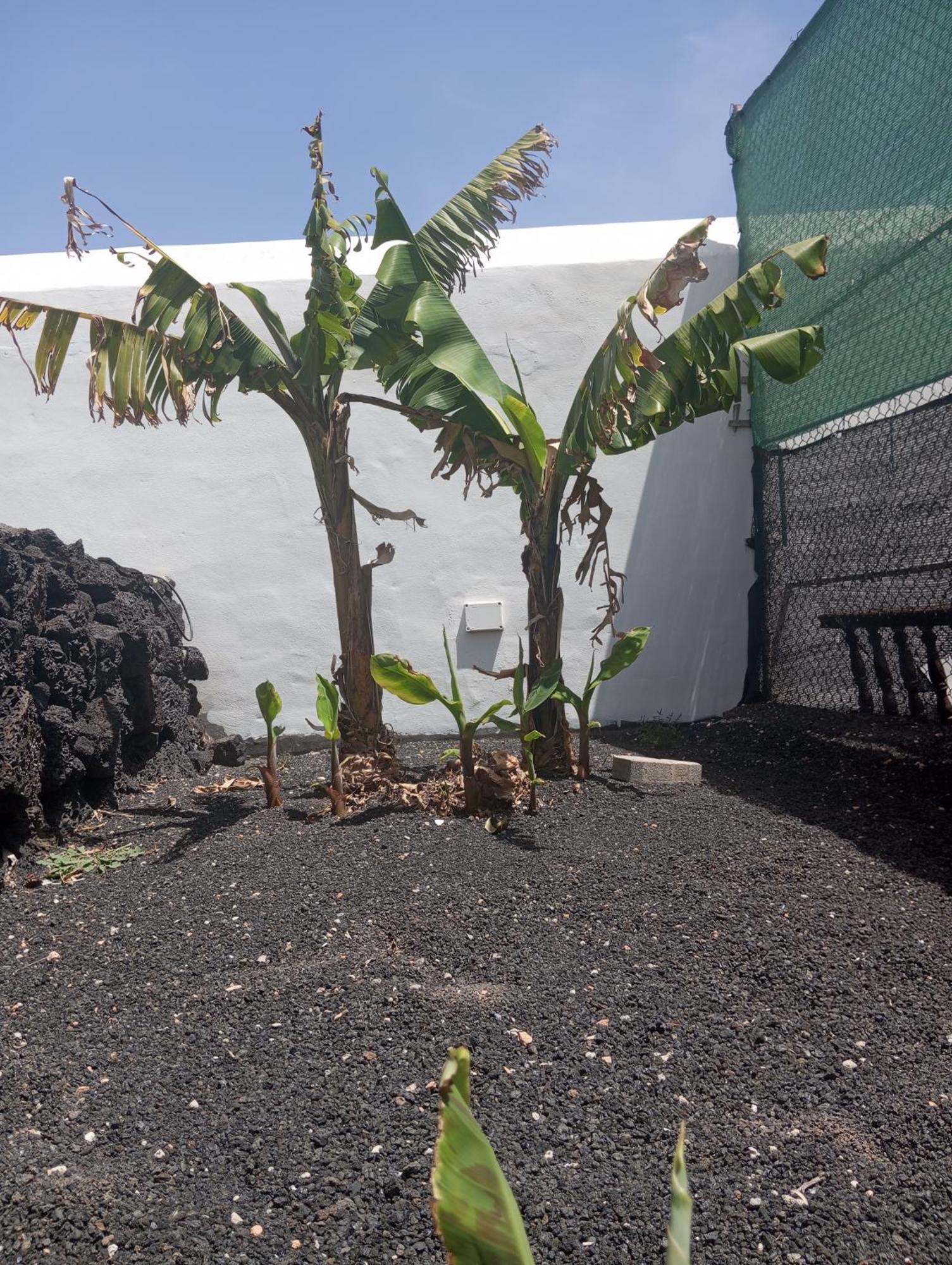 Casa Siempreviva Villa Teguise  Bagian luar foto